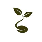 Seedcorp