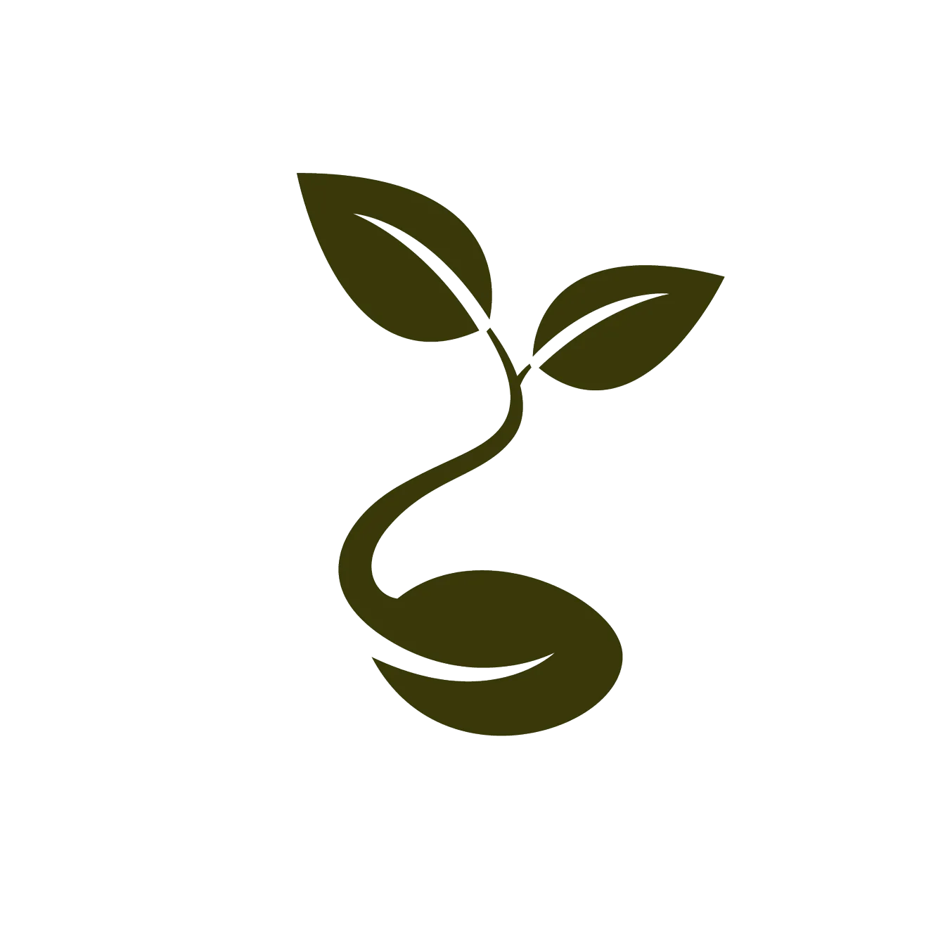 Seedcorp