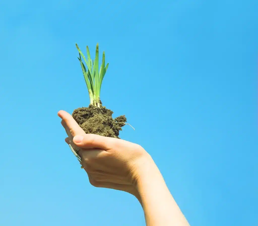 hand with plant