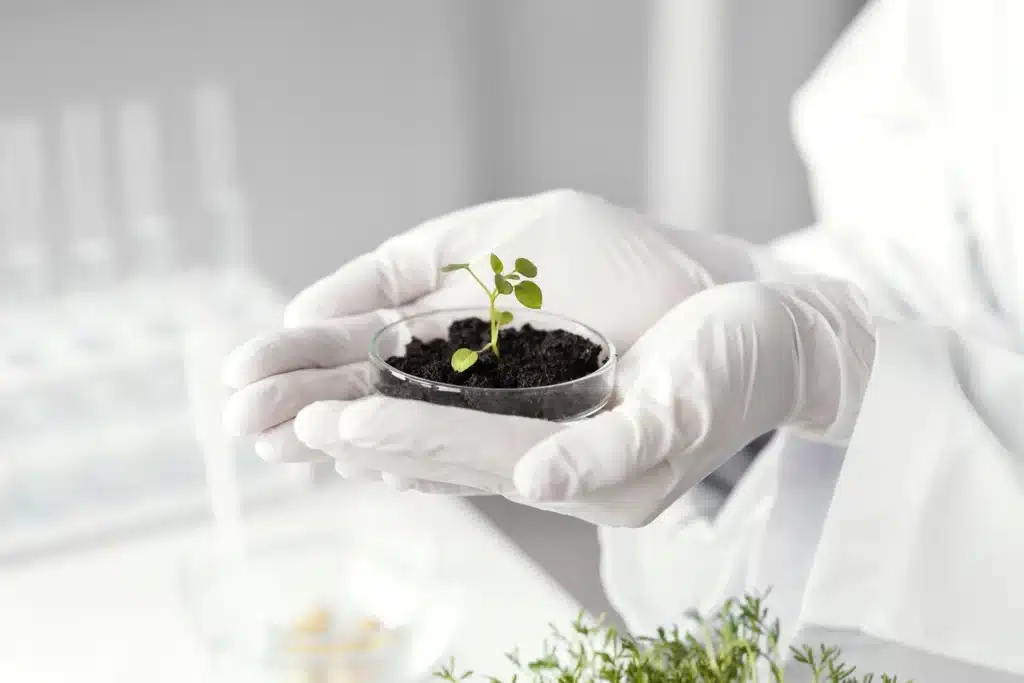hands holding plant petri dish