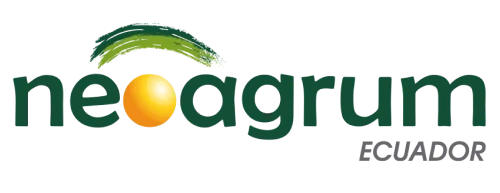 logo Neoagrum e1749154887496
