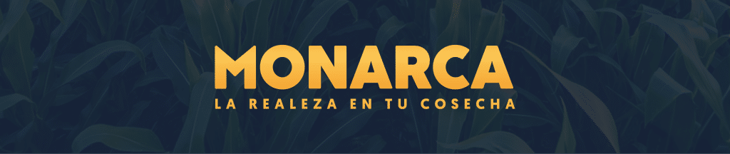Sin titulo 2 1