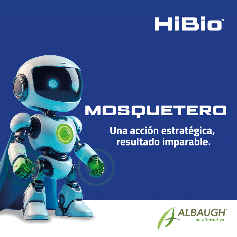 Mosquetero